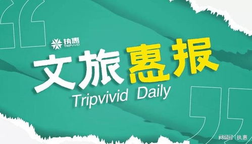 湖南文旅迸发新活力 上半年接待游客同比增长116.86%，文化交流奏响时代强音